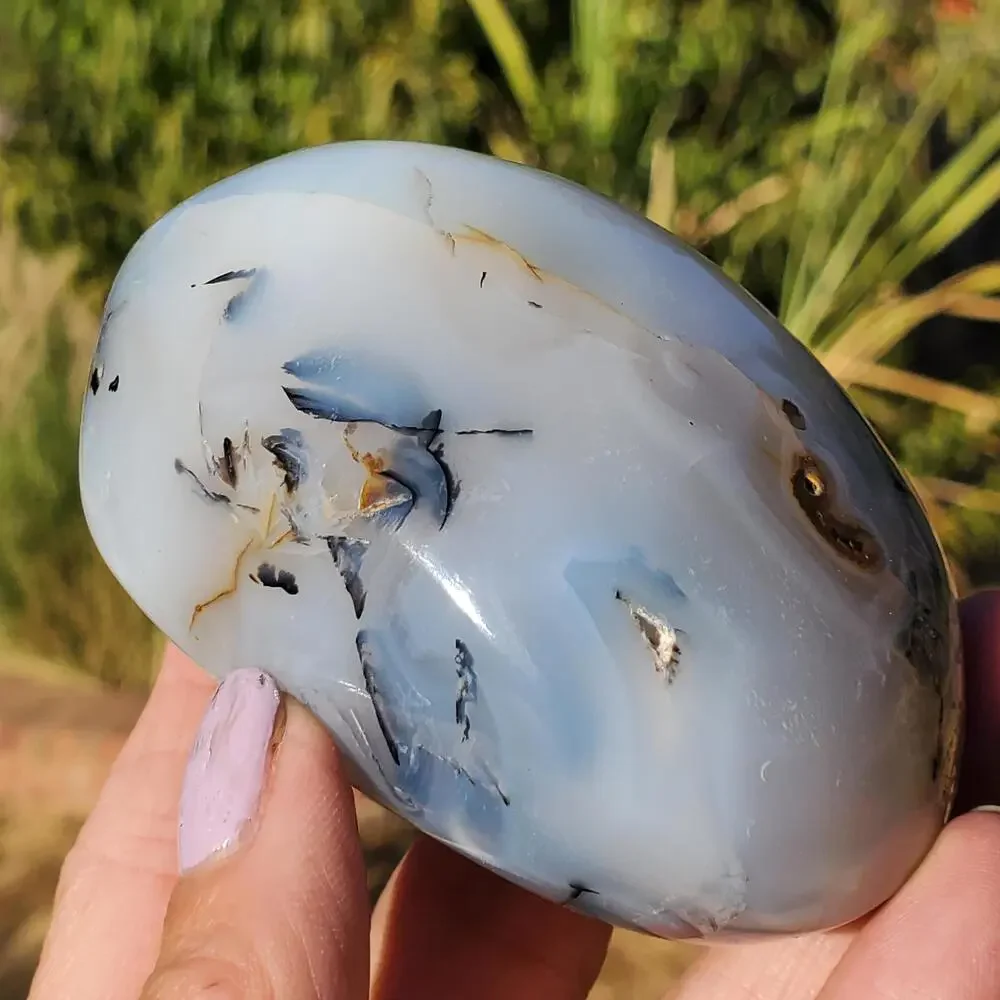 Dendritic Agate Multi-Color Pattern Translucent Freeform Crystal 258 Grams